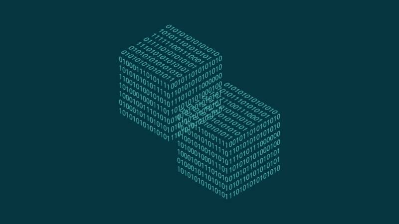 横县信创改造：网络应用开发流程标准化的核心路径与实践